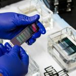 0866e8451939f28c9bfa722d2f809b77